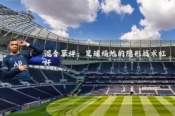 混合草坪:足球场地的隐形战术杠杆